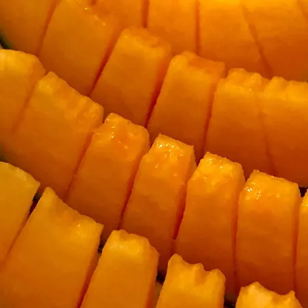 Navy & Co Frühstückspension