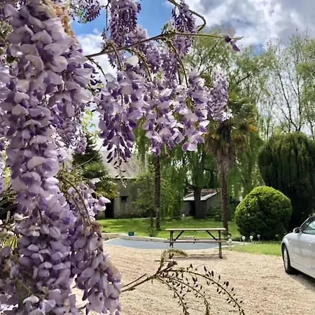 Frühstückspension Navy & Co