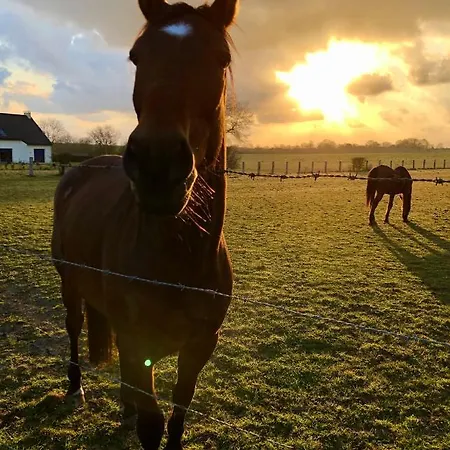 Frühstückspension Navy & Co 4*