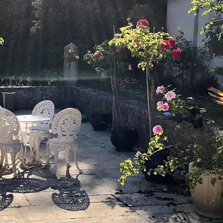 Navy & Co Отель типа 