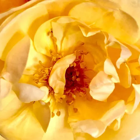 Navy & Co Frühstückspension