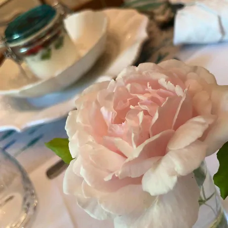 Bed & Breakfast Navy & Co Houesville