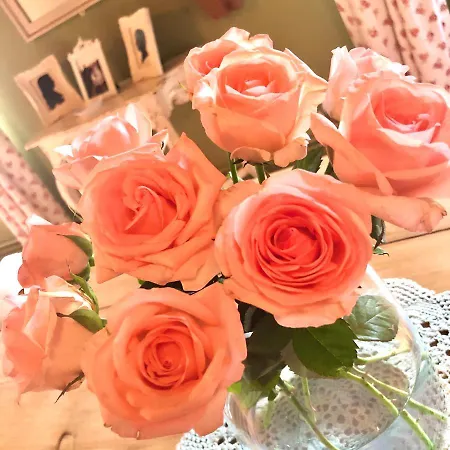 Frühstückspension Navy & Co 4*