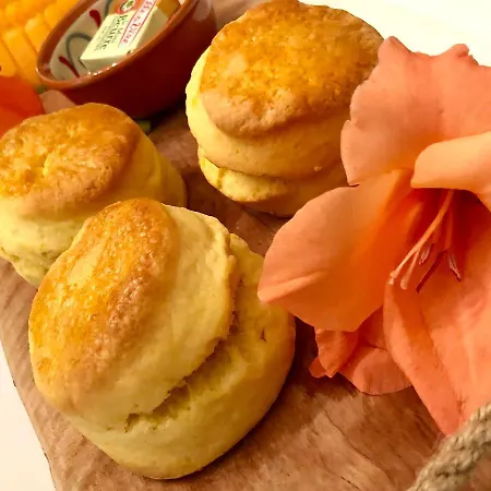 Navy & Co Frühstückspension