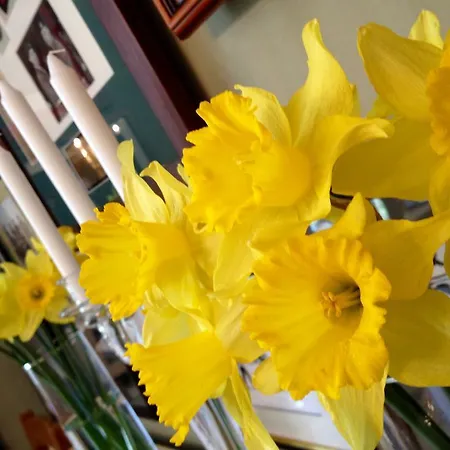 Frühstückspension Navy & Co