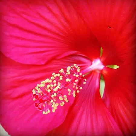 Frühstückspension Navy & Co