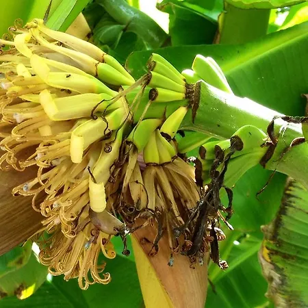 Frühstückspension Navy & Co 4*