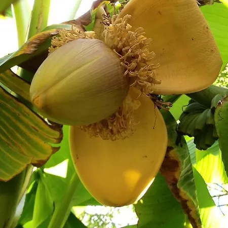 Navy & Co Houesville