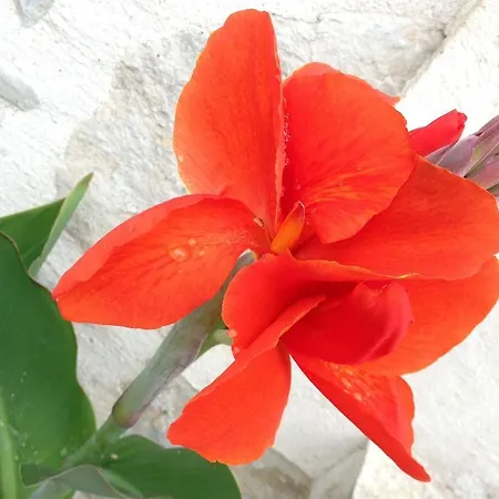 Frühstückspension Navy & Co