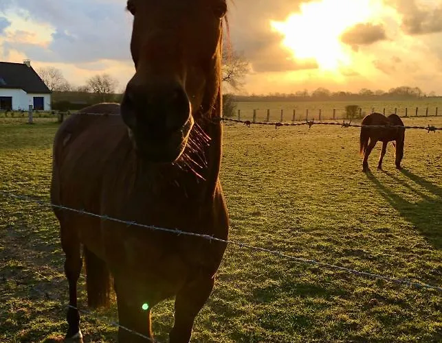 Bed & Breakfast Navy & Co 4*