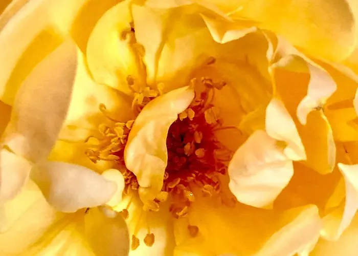 Navy & Co فندق مبيت وإفطار