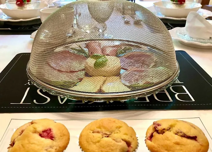 Couette-café Navy & Co 4*