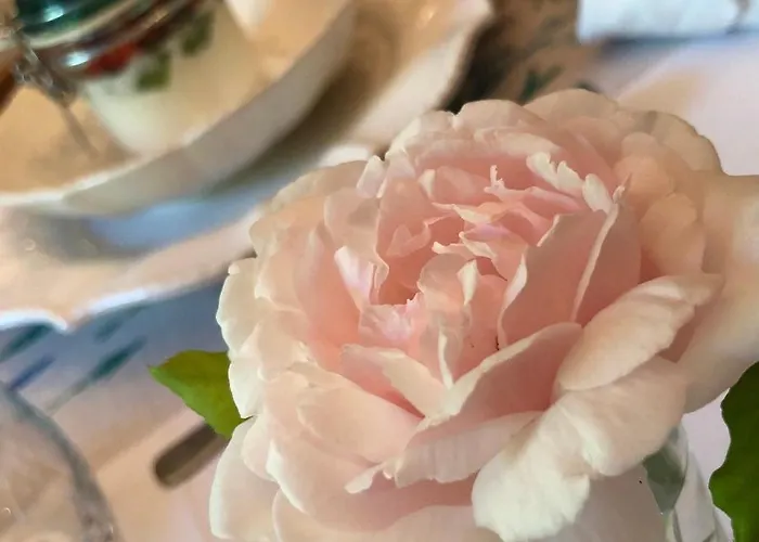 Bed & Breakfast Navy & Co Houesville