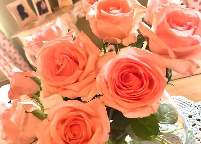 Couette-café Navy & Co 4*