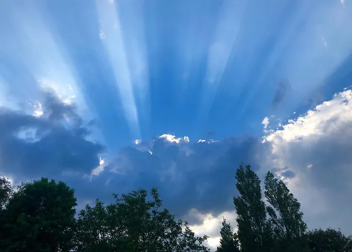 Navy & Co 4* Houesville