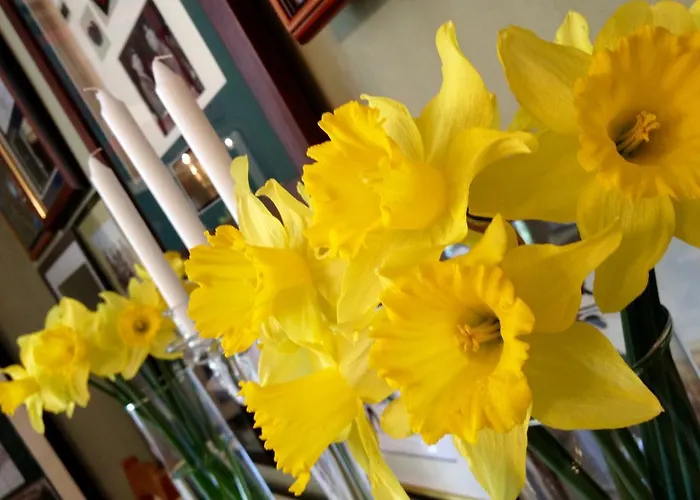 Bed & Breakfast Navy & Co