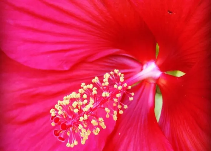 Bed & Breakfast Navy & Co