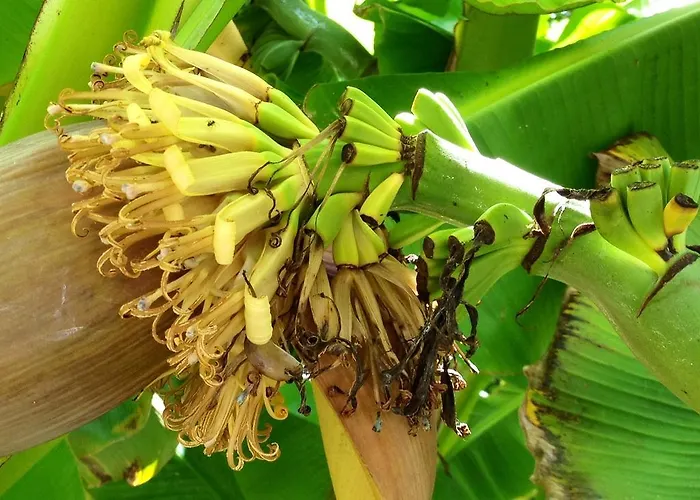 Couette-café Navy & Co 4*