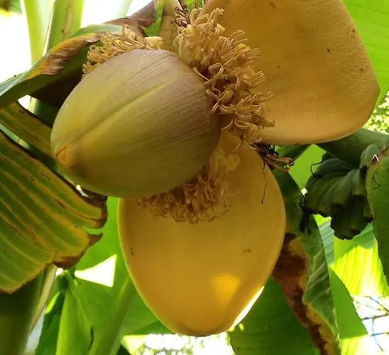 Navy & Co Houesville