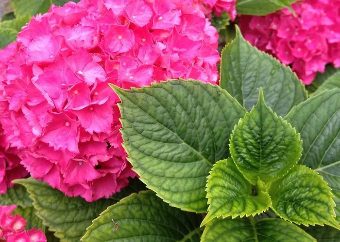 Couette-café Navy & Co 4*