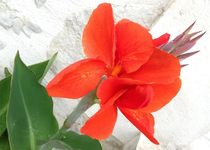 Bed & Breakfast Navy & Co